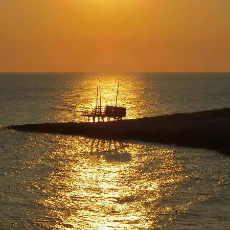 Palm Garden 3* Vieste