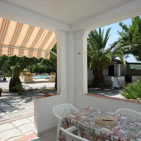 Palm Garden