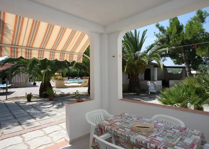 Palm Garden