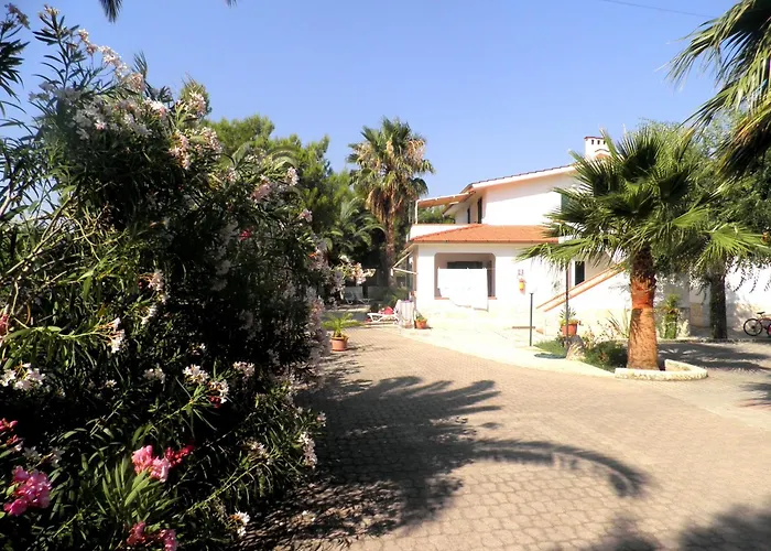 Palm Garden 3* Vieste